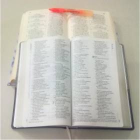 A Bíblia no Brasil - versões