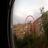 Aracnídeo gigante escala casas na Rússia 