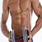 Exercícios para ganhar massa muscular