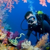 Explore recifes de coral com o google street view