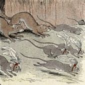 Fábulas de Esopo - Os Ratos e as Doninhas