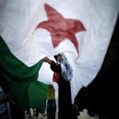 Guerra na síria resulta na conversão de milhares de muçulmanos