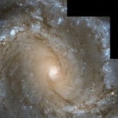 Imagem: galáxia messier 61