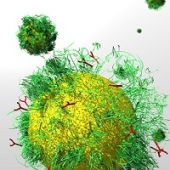 Nanopartículas podem ajudam a combater doenças