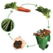 O desperdício alimentar e o acúmulo de resíduos