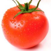 O que o tomate tem