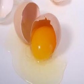 Os ovos