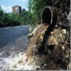 Poluição dos rios de Igarassu
